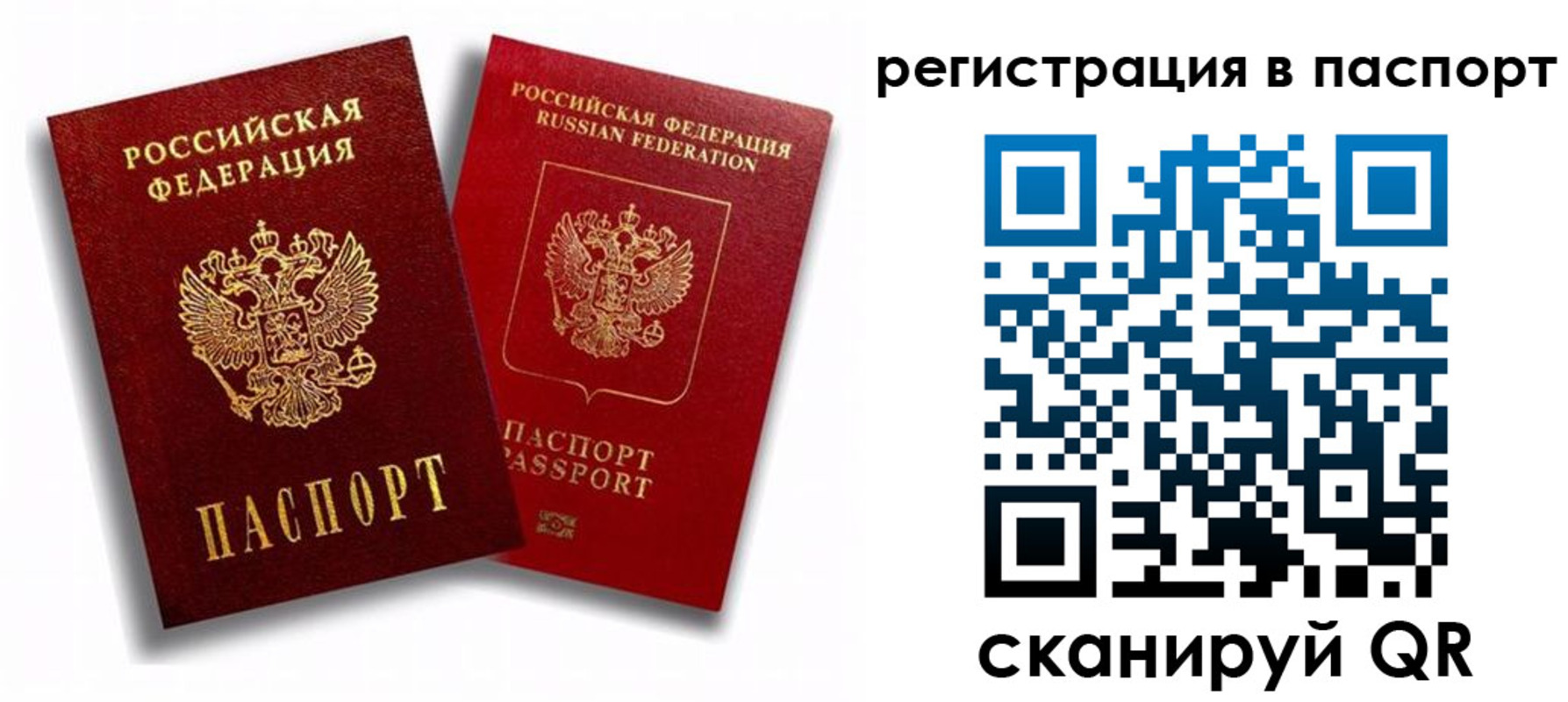 прописка 2025 в Кингисеппе